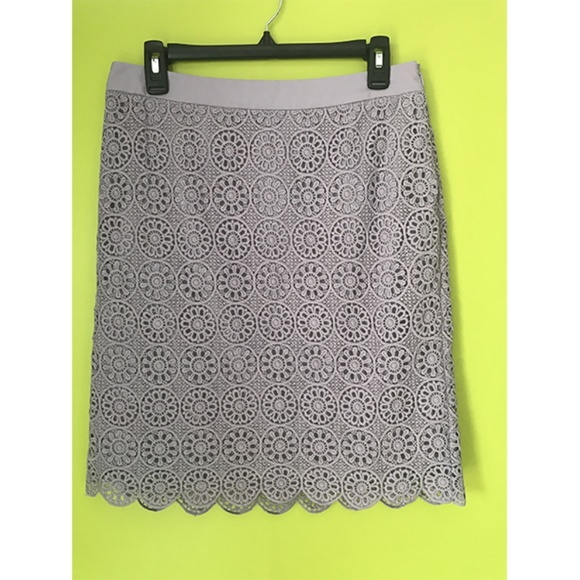 The Limited Dresses & Skirts - The Limited Intricate Floral Lace Gray Skirt Sz 6